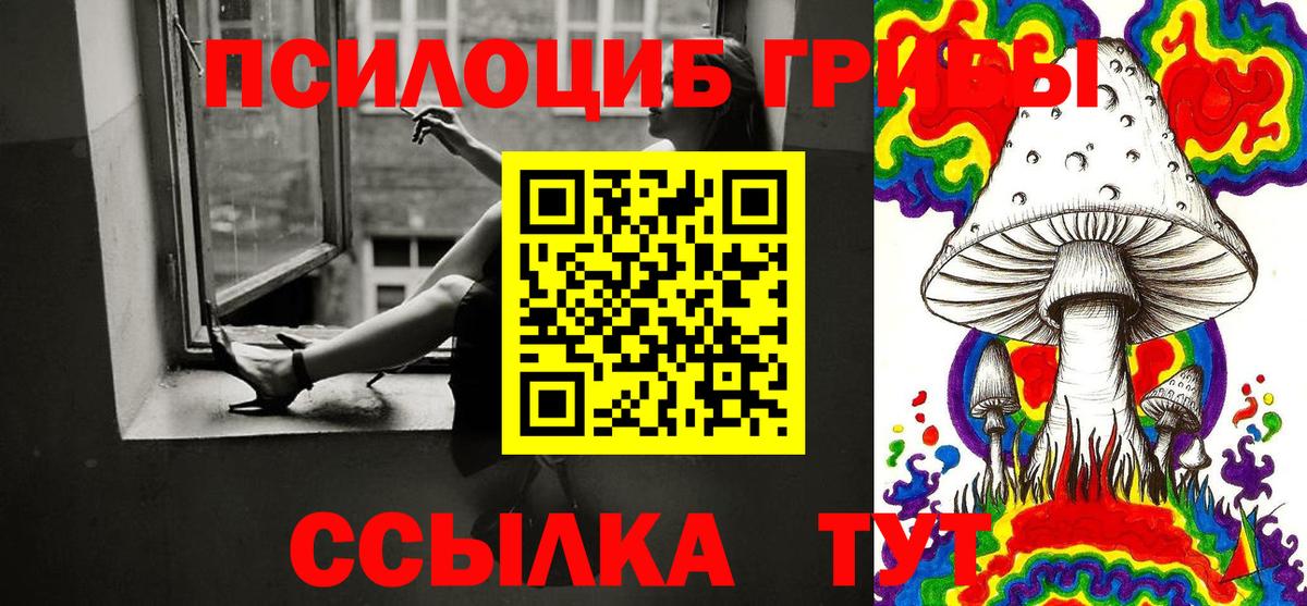 Благодарный  Псилоцибиновые грибы Cubensis  Вход с VPN 